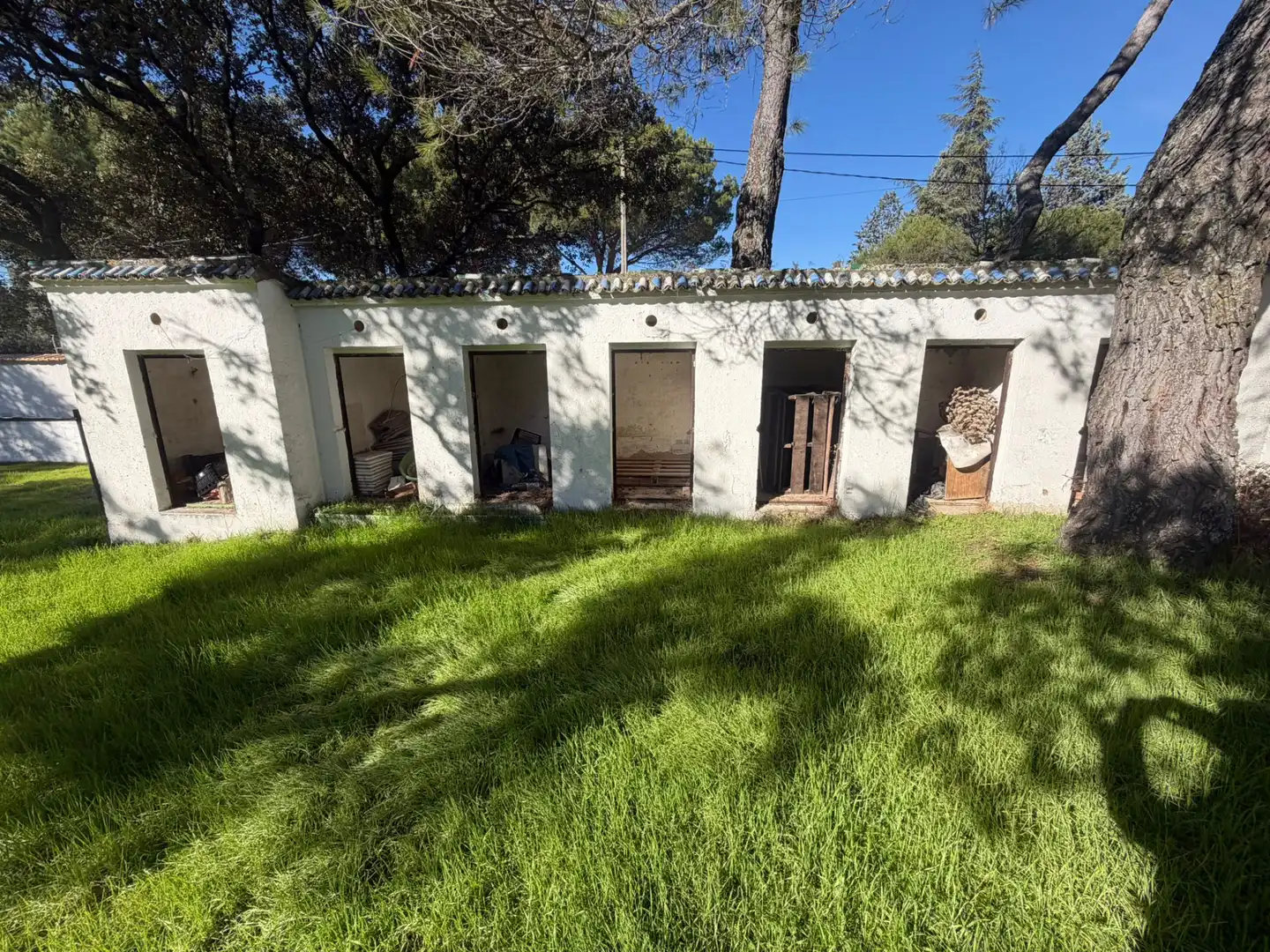 Jardín de Casa o chalet en venta en Torrelodones con Calefacción, Jardín privado y Trastero