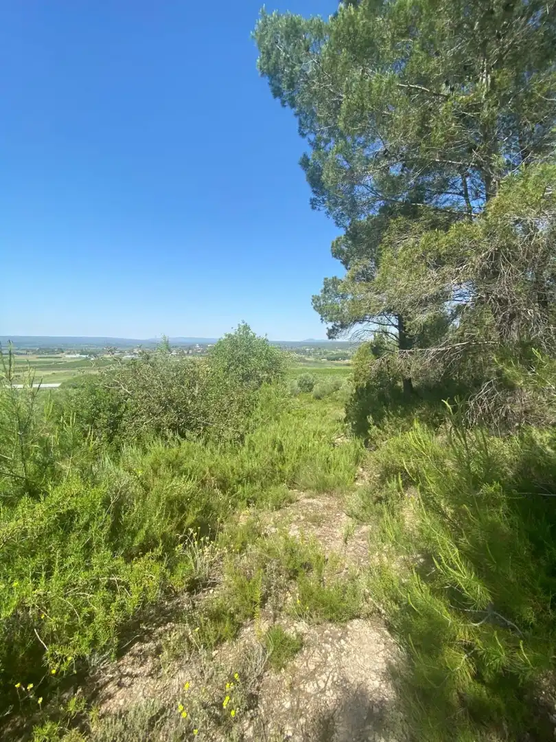 Terreno rustico in vendita a POLÍGONO 10 PARCELA 493, imagen 33
