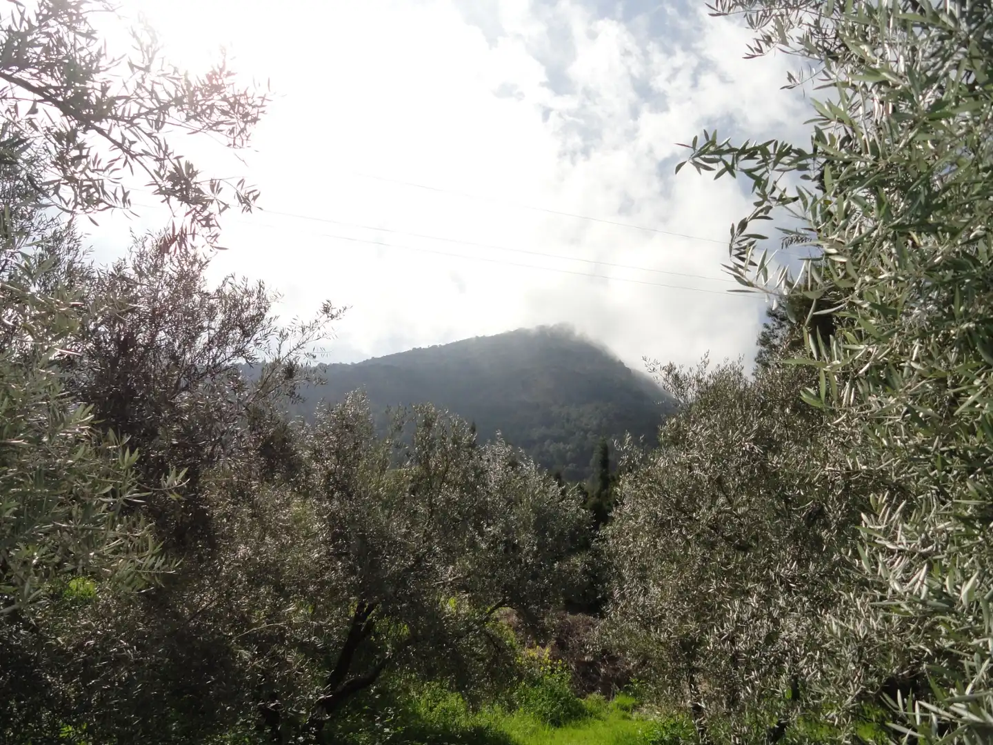 Exterior view of Land for sale in La Iruela