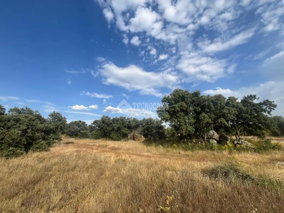 Terreno en venta en Santa Ana de Pusa