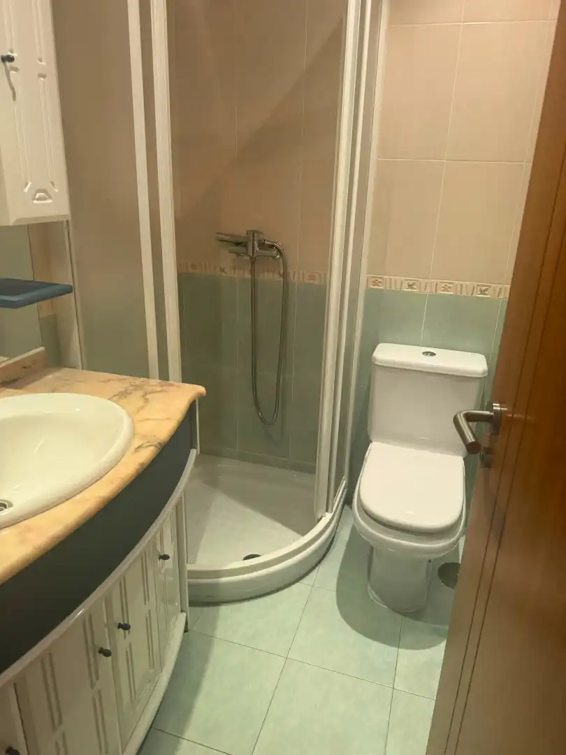 Bathroom of Flat for rent in Santiago de Compostela   with Parquet flooring, Furnished and Oven