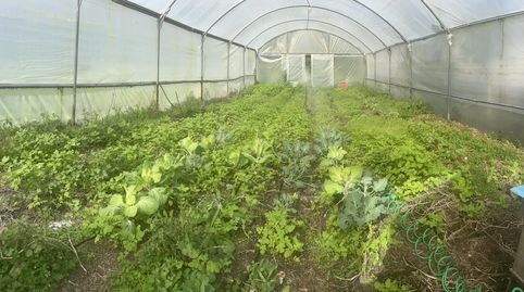 Foto 5 de Finca rústica en venda a Moaña, Pontevedra