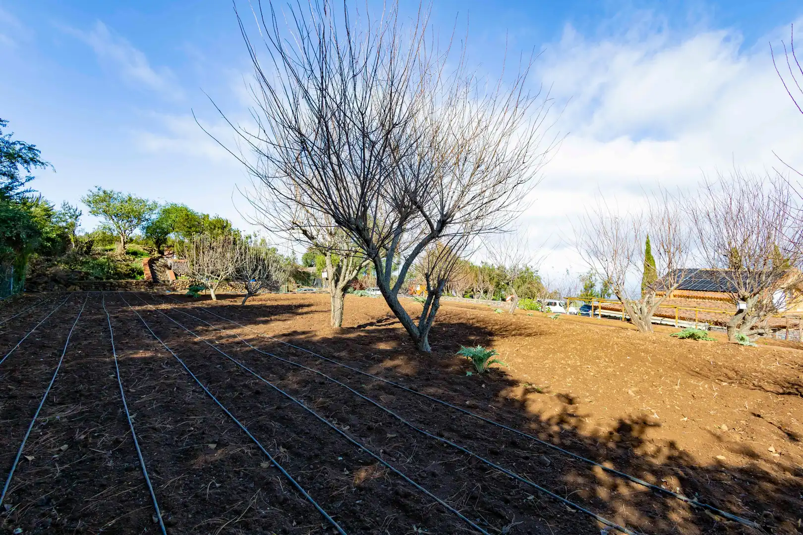 Finca rústica en venda en El Tanque amb Calefacció, Jardí privat i Terrassa
