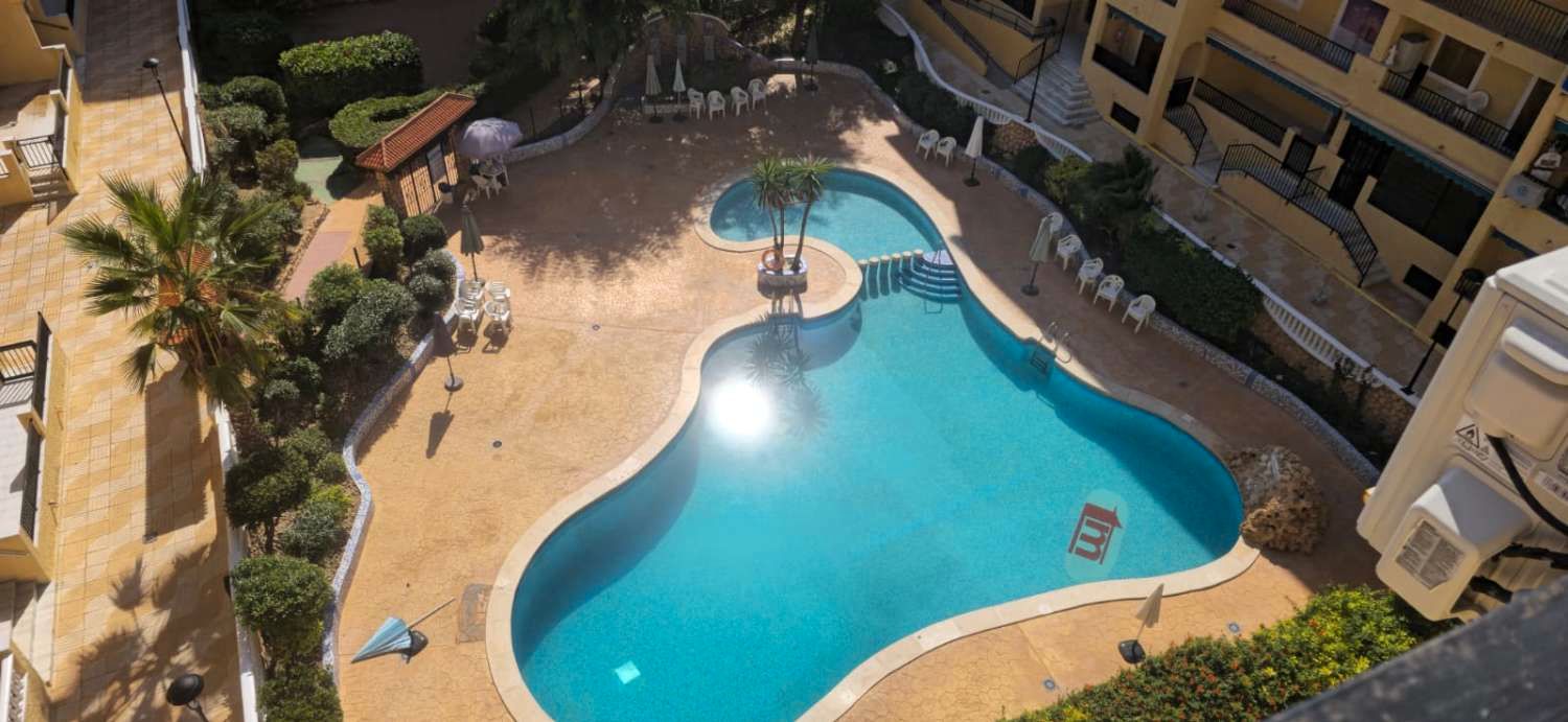 Swimming pool of Study for sale in Torrevieja  with Air Conditioner, Heating and Terrace