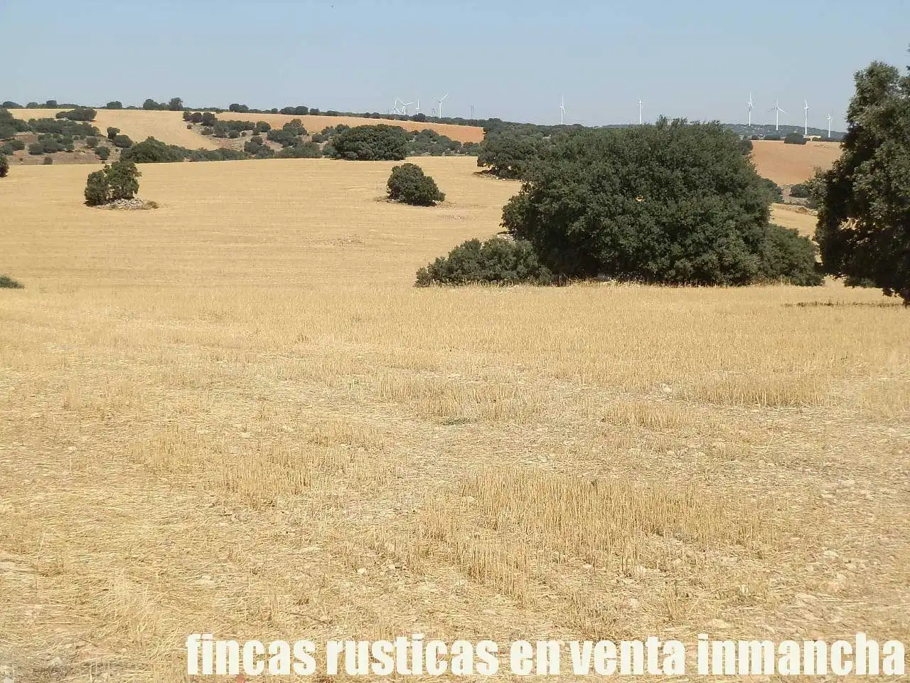 Terreni e lotti in vendita a Munera, imagen 3