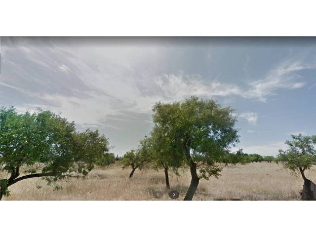 Terreno residencial en Venta en Búger