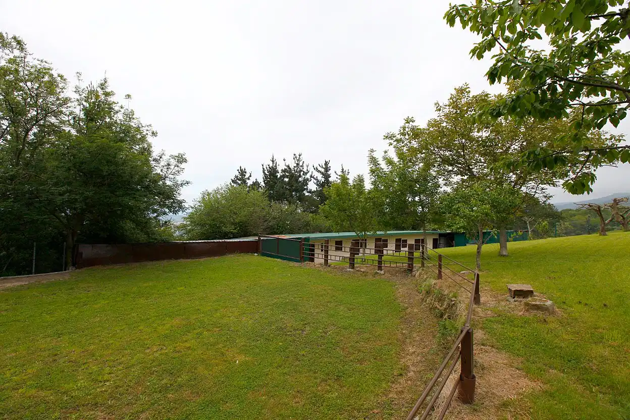 Garden of Houses for sale in Oiartzun  with Private garden, Terrace and Swimming Pool