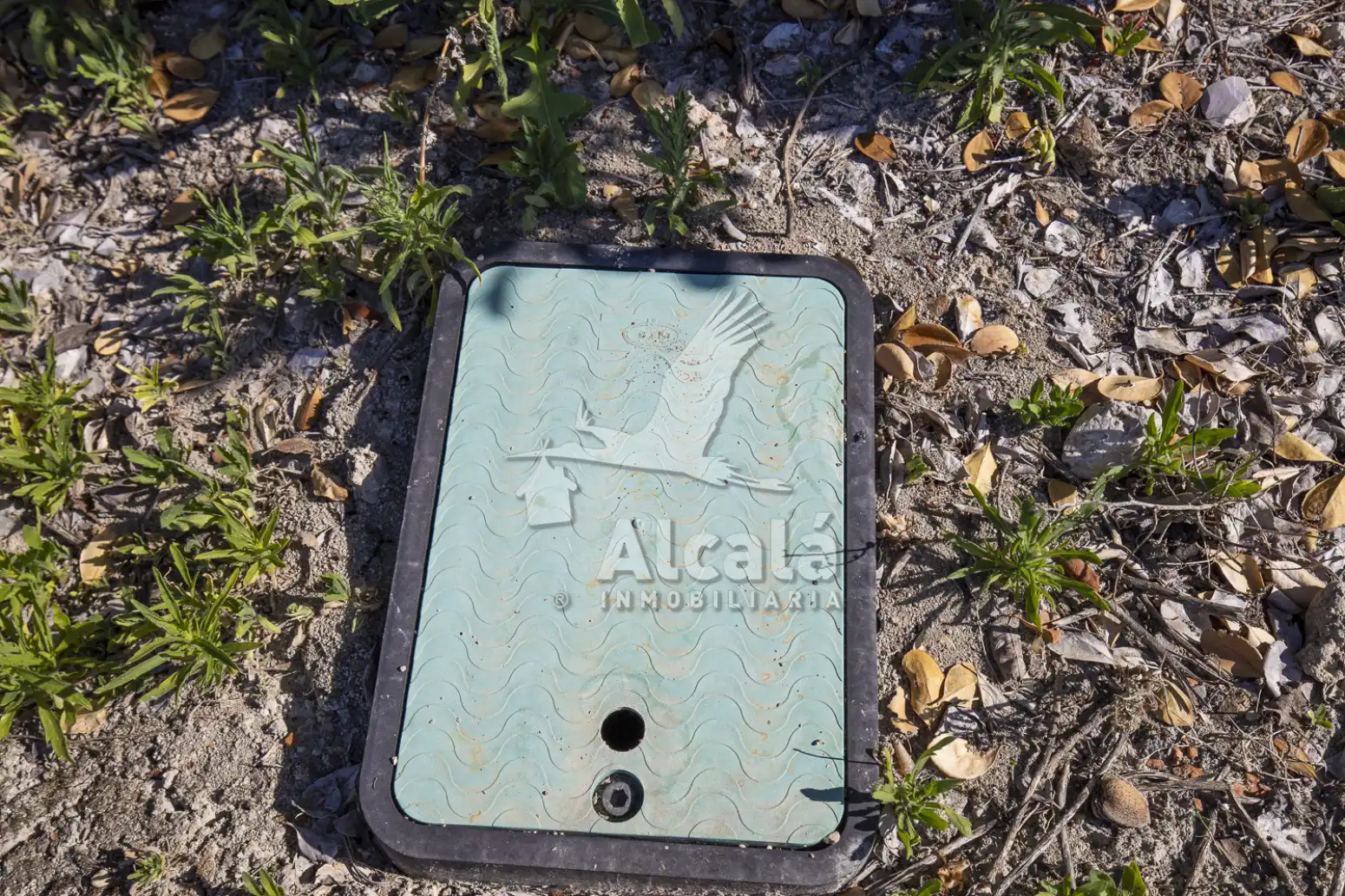 Terreno en venta en Valverde de Alcalá