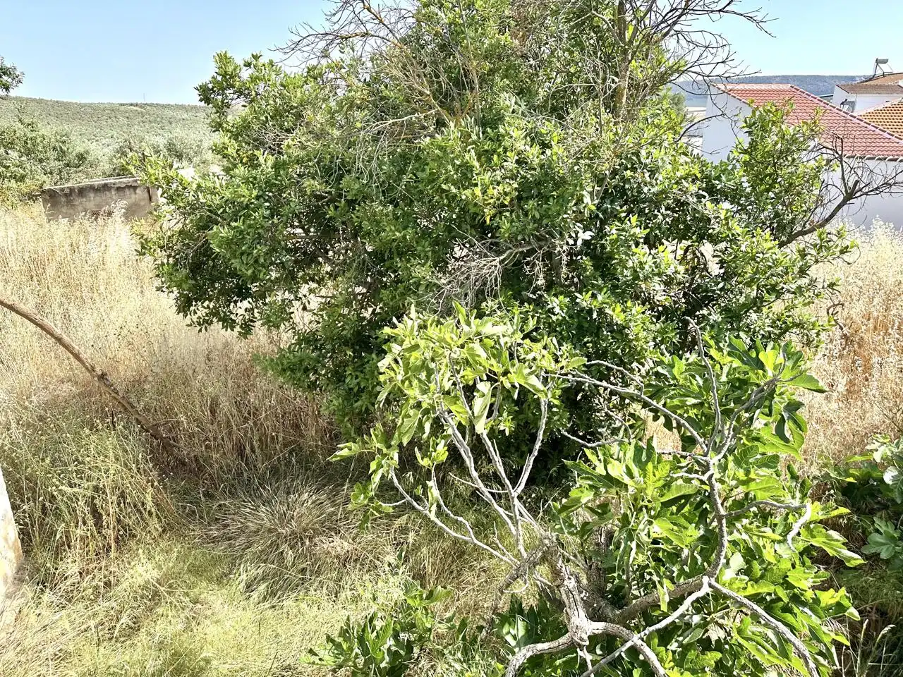 Casa o xalet en venda en Antequera amb Jardí privat i Traster