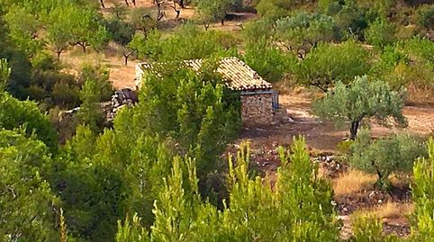 Foto 2 de Finca rústica en venta en Benifallet, Tarragona