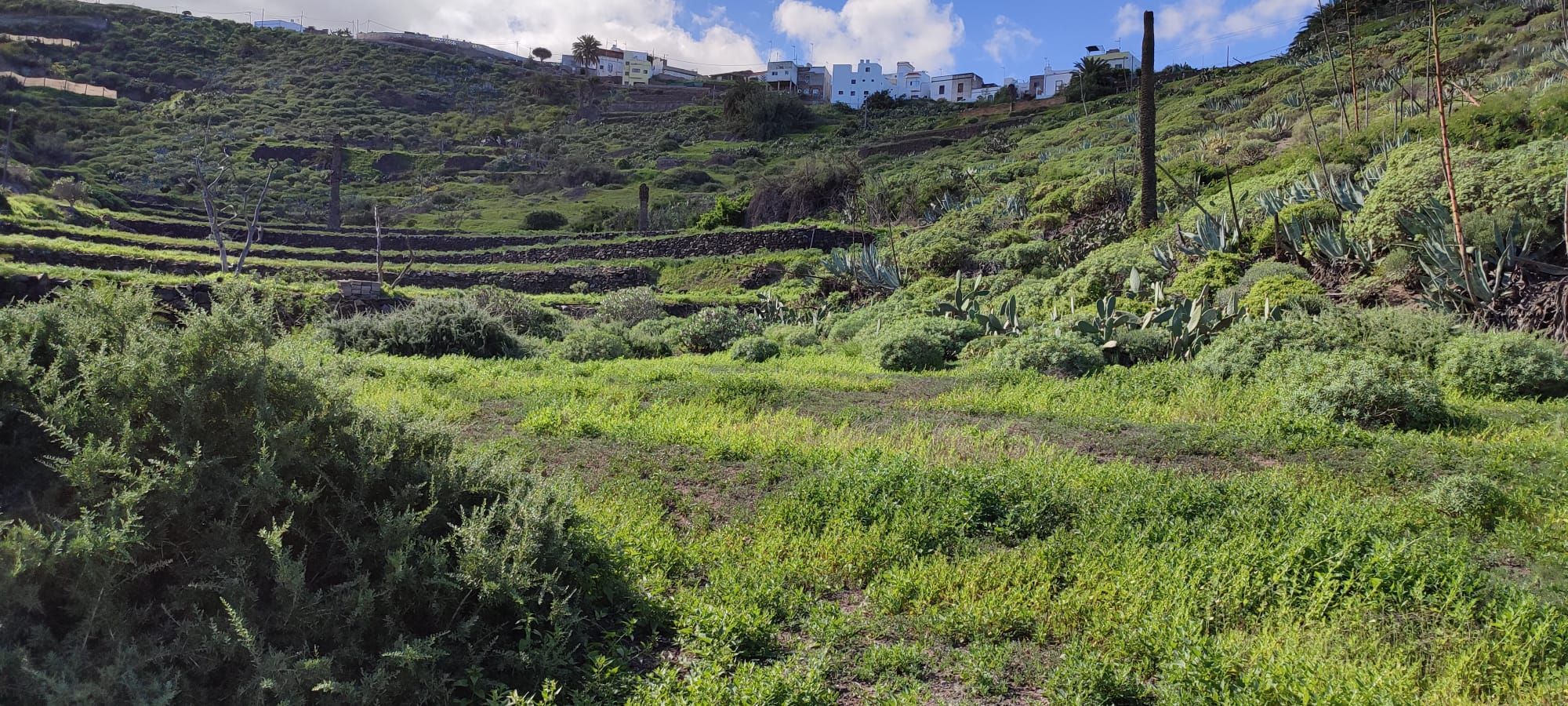 Exterior view of Land for sale in Arucas