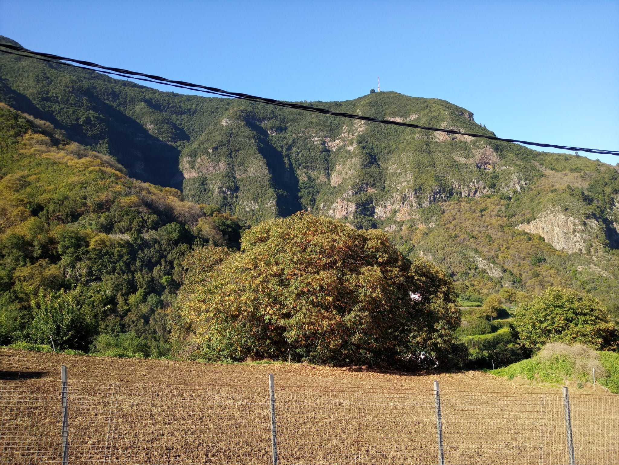 Exterior view of Residential for sale in Los Realejos