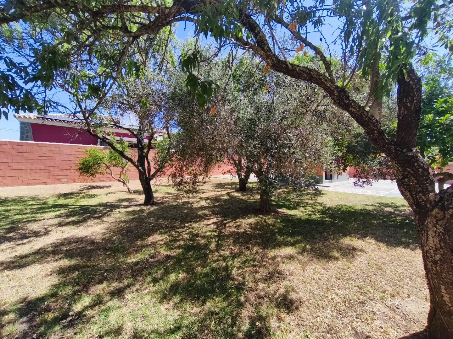 Chalet con piscina en venta en Los Franceses – La Vega, imagen 30