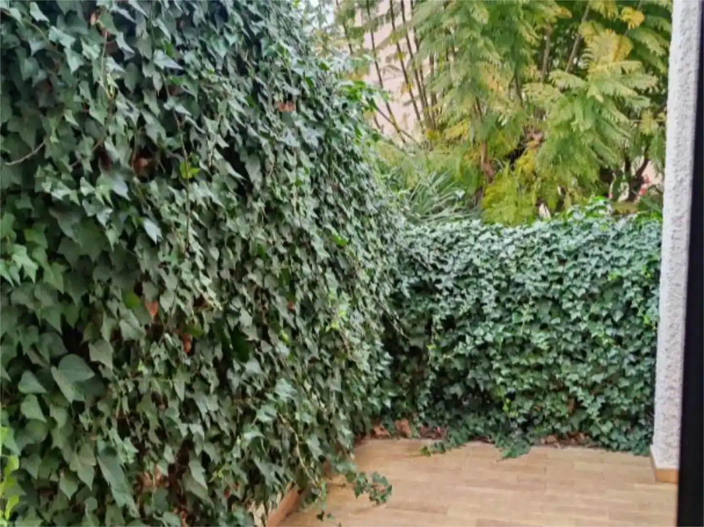 Jardí de Casa o xalet en venda en Mazarrón amb Balcó