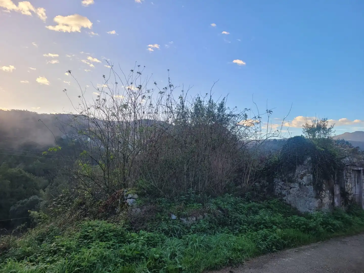 Casa o chalet en venta en Ribadedeva