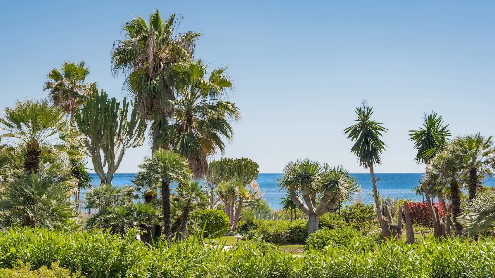 Jardí de Planta baixa en venda en Estepona amb Terrassa, Piscina i Balcó