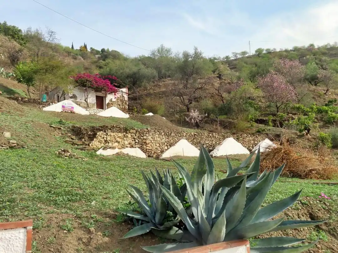 Lands and plots for sale in Arenas