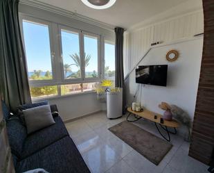 Dormitori de Apartament de lloguer en Torrevieja amb Aire condicionat, Terrassa i Piscina