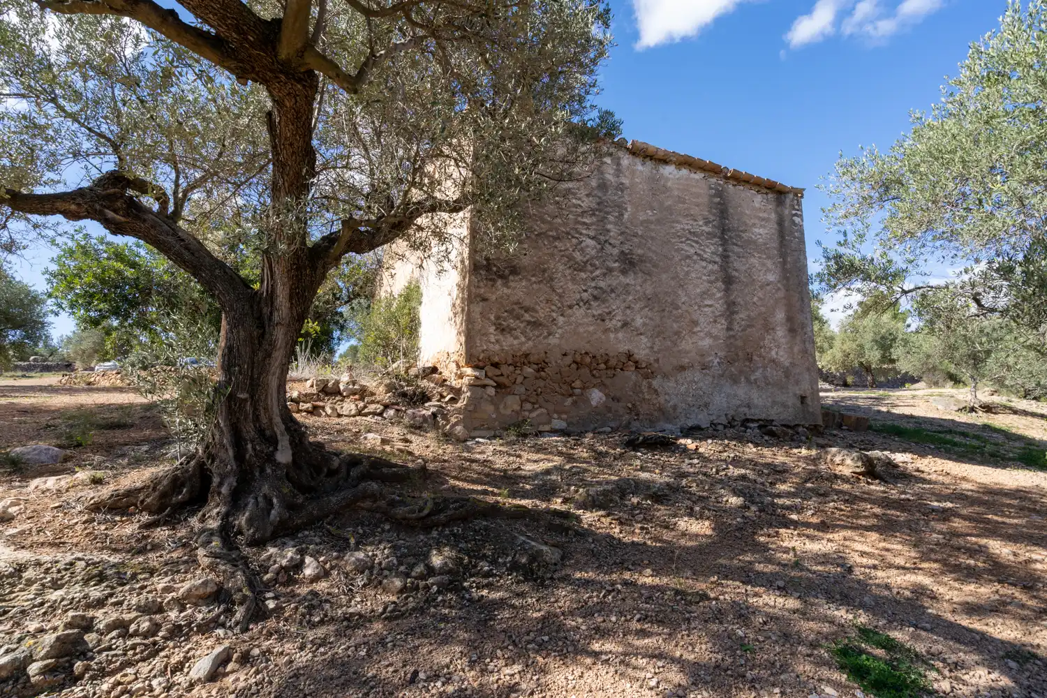 Terrain rustique à vendre à Xerta, imagen 3