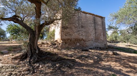 Gran finca rústica con varias edificaciones para reformar, immagine 3
