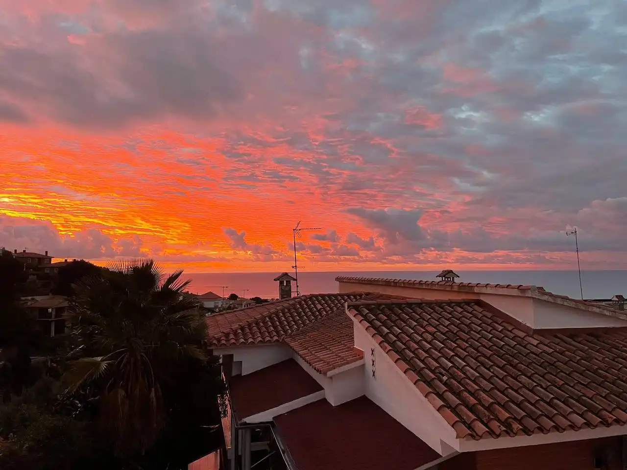 Casa o chalet en venta en Carrer Arboç, Santa Susanna