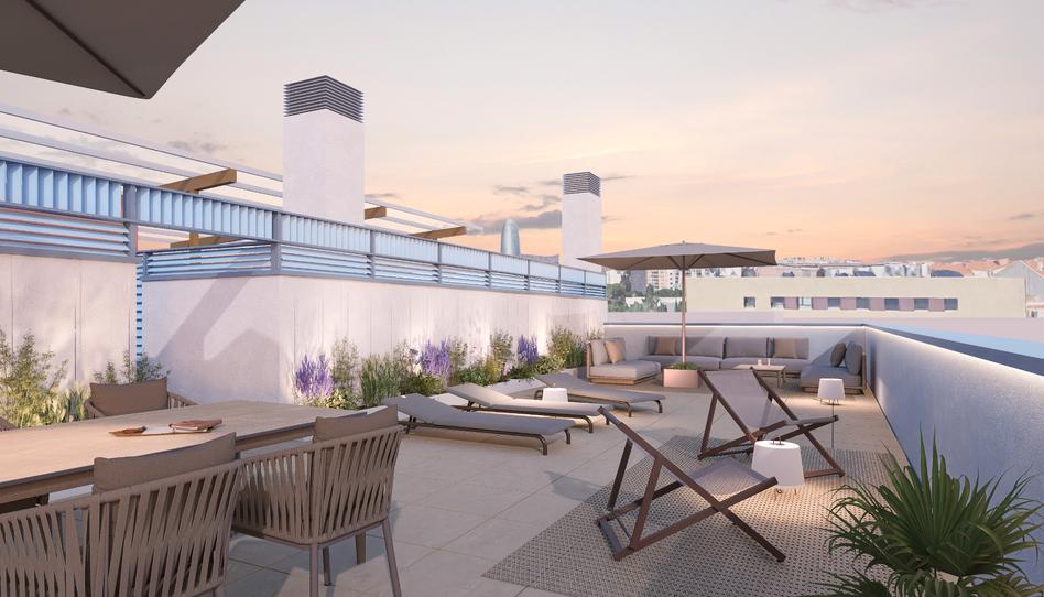 Foto 0 de Promoció Promoción Almogàvers