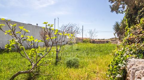 Solar urbanizable en Sant Clemente