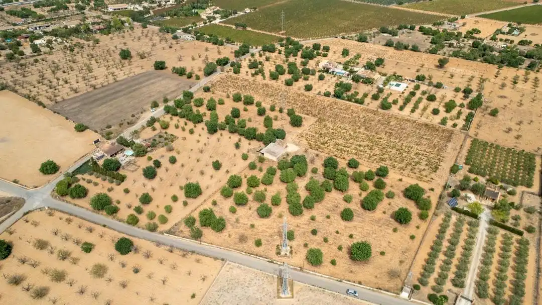 Land for sale in Consell