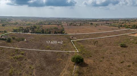 Photo 4 of Land for sale in Sa Gruta, Manacor Centre, Manacor