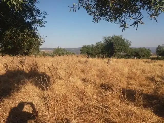 Residential land for sale in Fuente Obejuna, imagen 28
