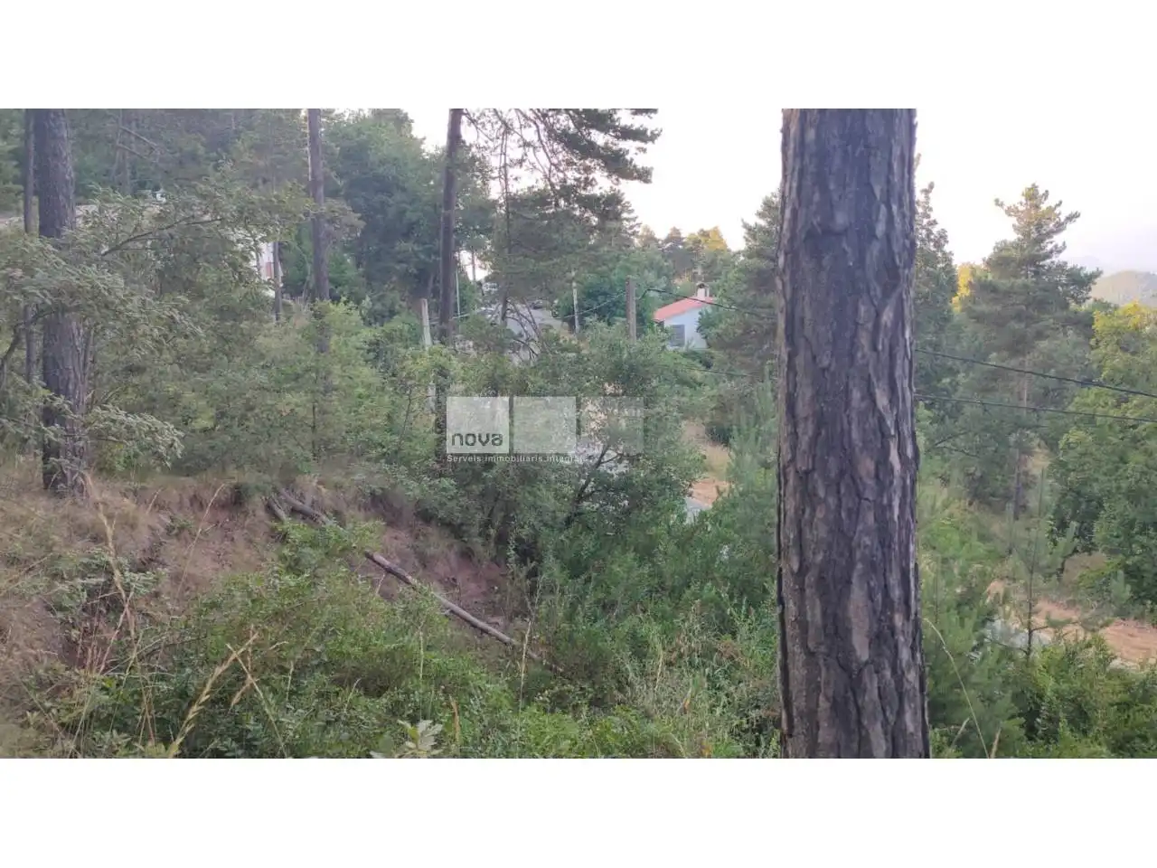 Wohnbaugrundstück zum Verkauf in Muntanyola, imagen 19