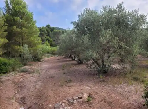 Terrain rustique à vendre à Pt La Costera de Játiva, imagen 9