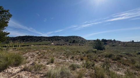 Foto 4 de Residencial en venta en N/a, -1, Desamparados - Hurchillo - Torremendo, Orihuela
