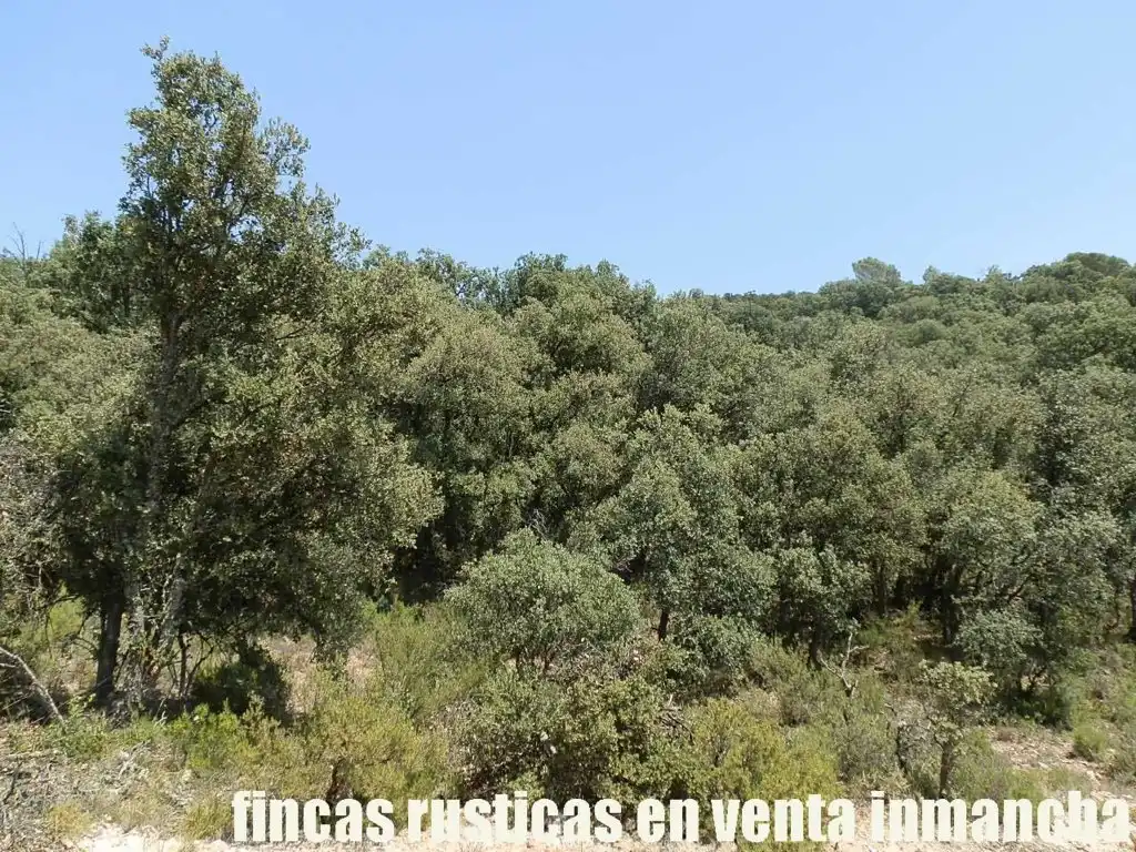 Rustikales Grundstück zum Verkauf in Alcocer, imagen 3