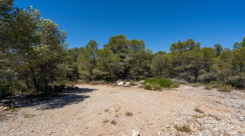 Foto 5 de Terreno en venta en Partida Carratillana, 24, Roques Daurades - L'Estany, L'Ametlla de Mar