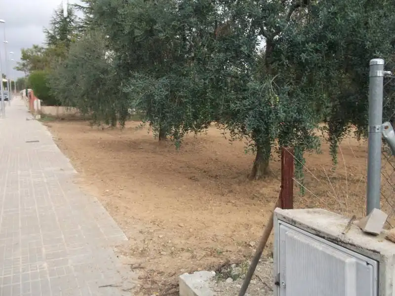 Terreno residencial en venta en Piera, imagen 3