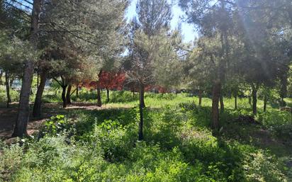 Casa o xalet en venda en Cobisa amb Jardí privat i Piscina
