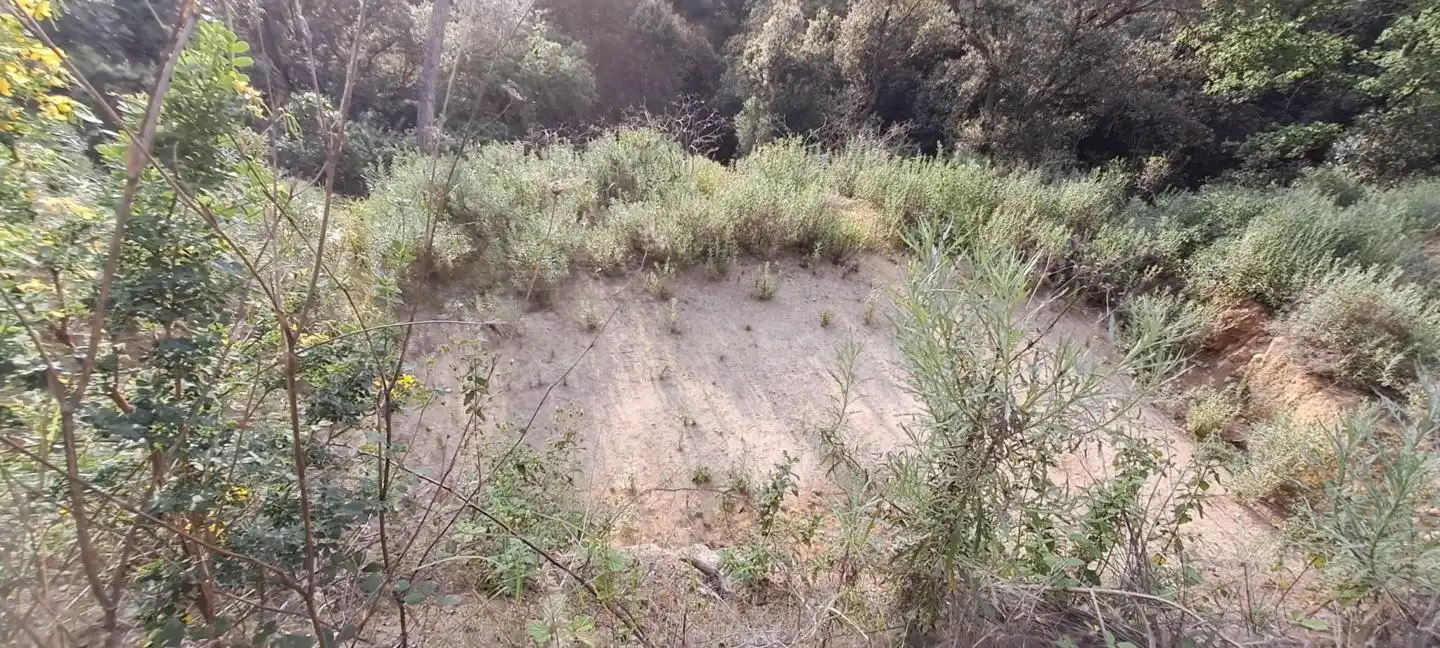 Lands and plots for sale in Can Massuet del Far, imagen 4