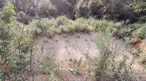 Photo 4 of Residential for sale in Can Massuet del Far, Dosrius