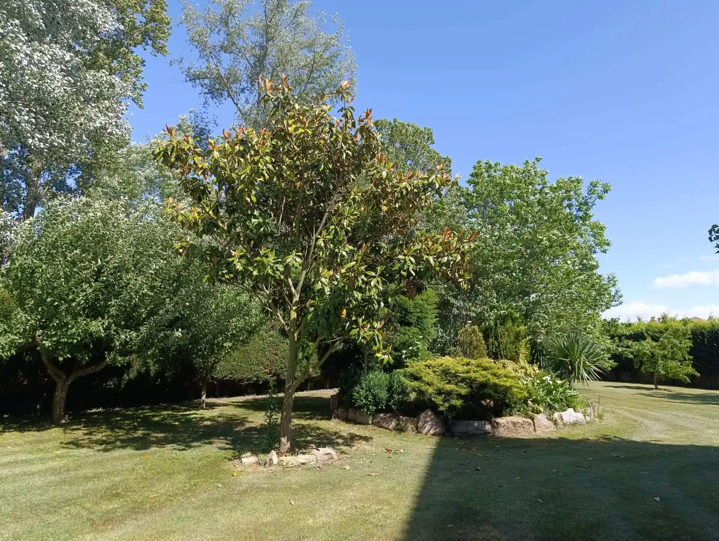 Jardí de Casa o xalet en venda en San Andrés del Rabanedo amb Calefacció, Jardí privat i Terrassa