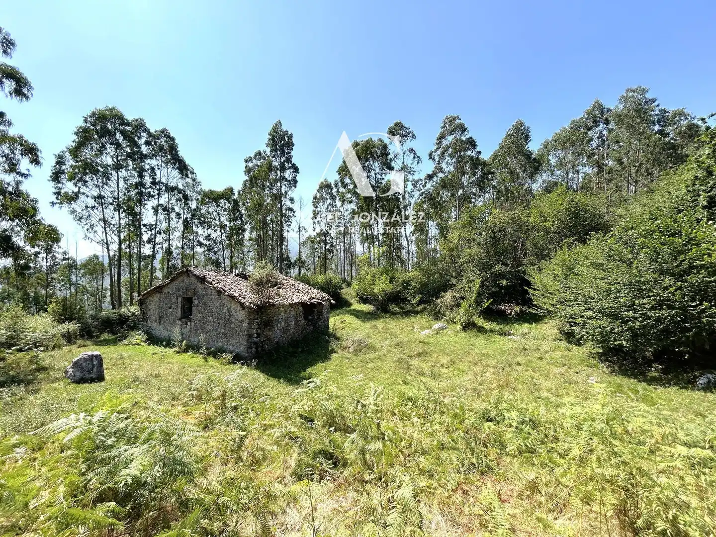 Casa o chalet en venta en Herrerías