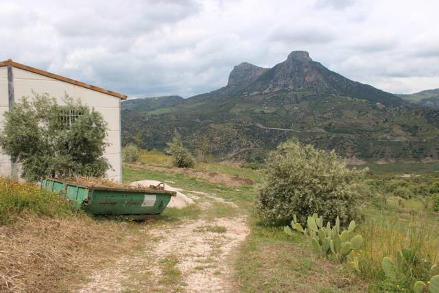 Finca rústica en Venta en Lugar Mesas, 0 en El Gastor