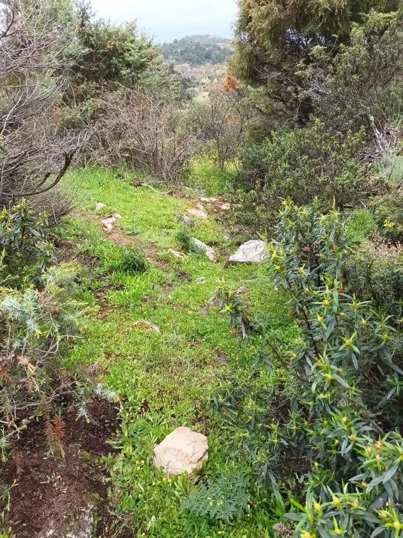 Terreno rustico in vendita a Collado Mediano, imagen 5
