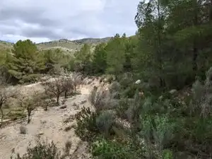 Terreno rustico in vendita a Carrer la Torreta, imagen 15