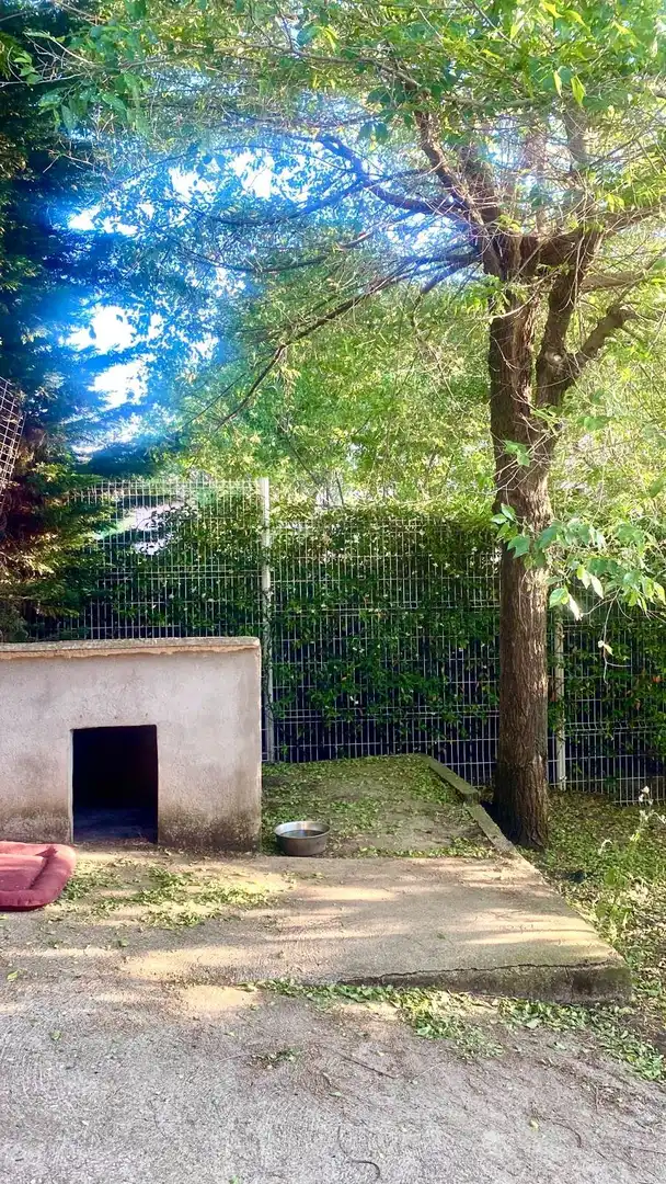 Jardí de Casa o xalet en venda en Nuevo Baztán amb Aire condicionat, Calefacció i Jardí privat