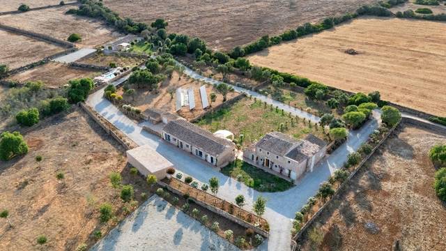 Casa-chalet en Alquiler en Llucmajor pueblo
