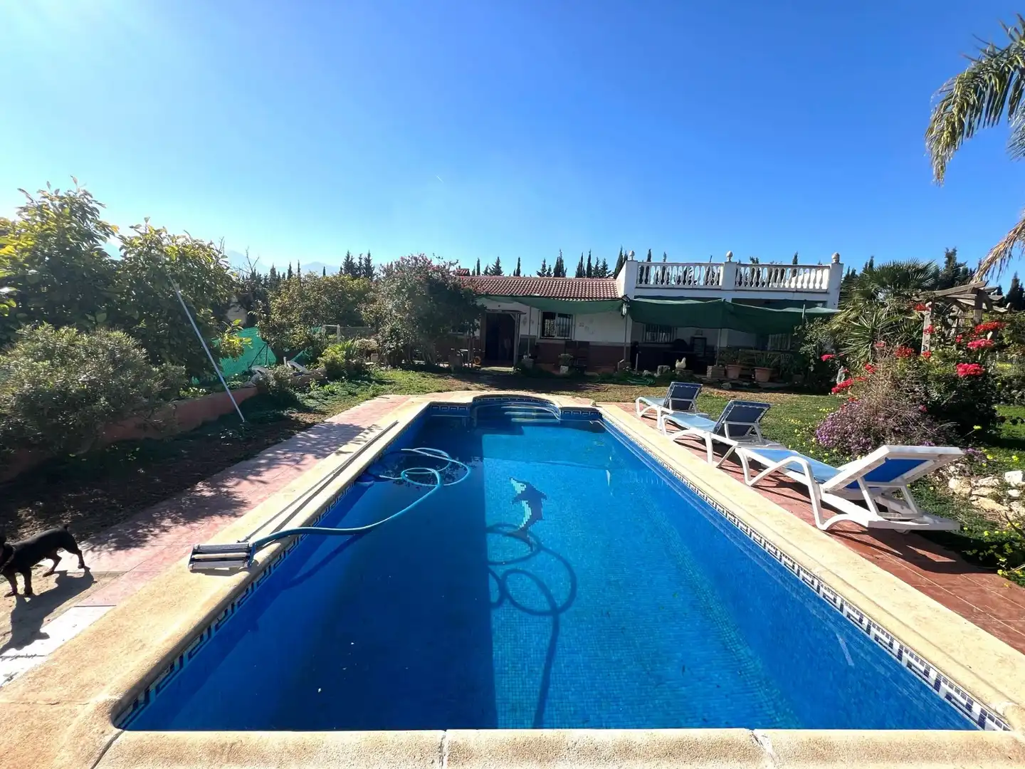 Piscina de Finca rústica en venta en Málaga con Terraza y Piscina