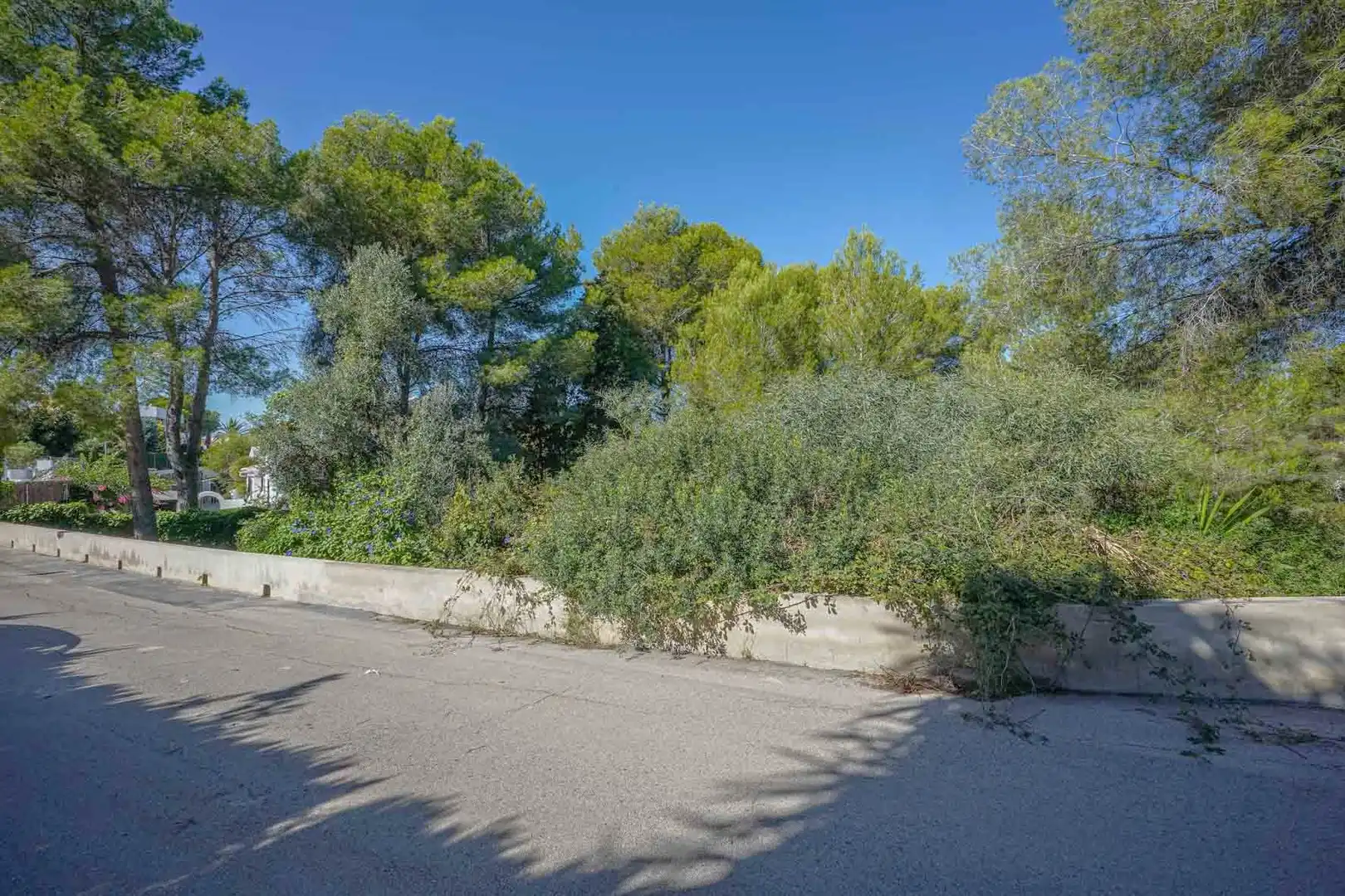 Residential land for sale in Centro ciudad