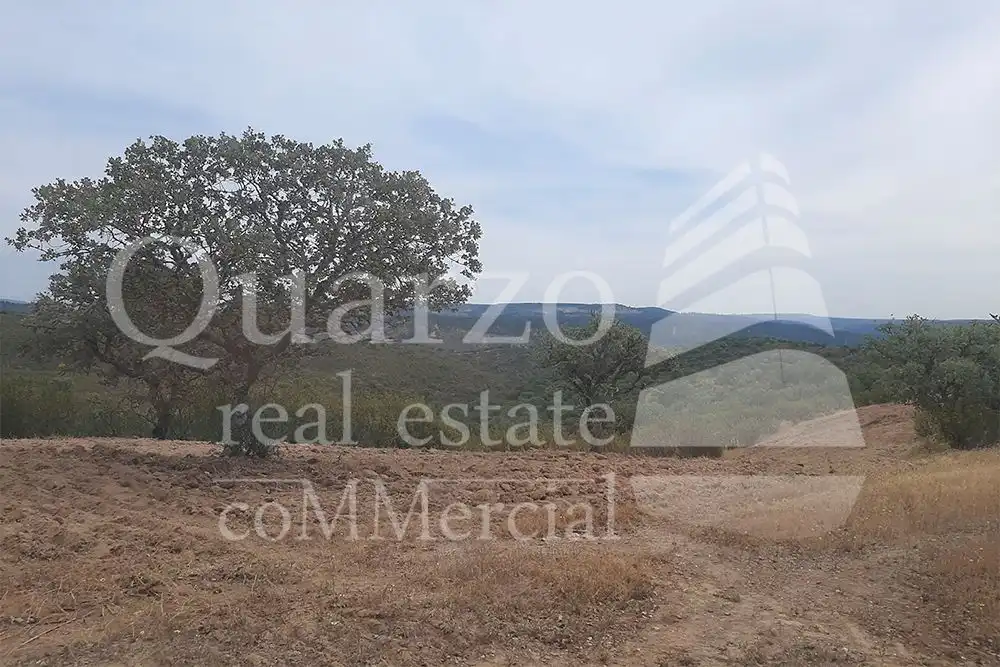 Finca rústica en venda en Herrera de Alcántara