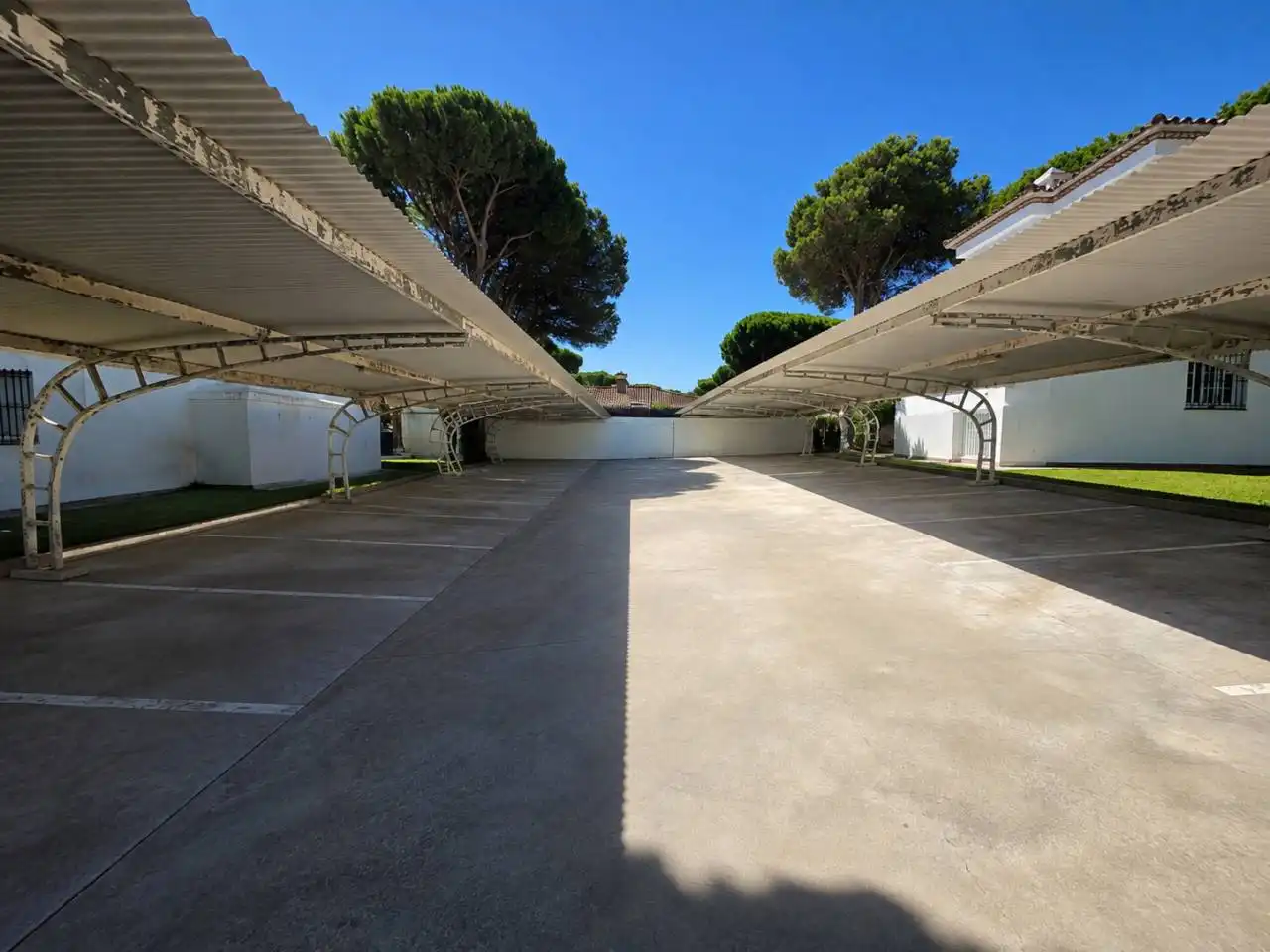 Apartments for rent in Las Lagunas - Campano